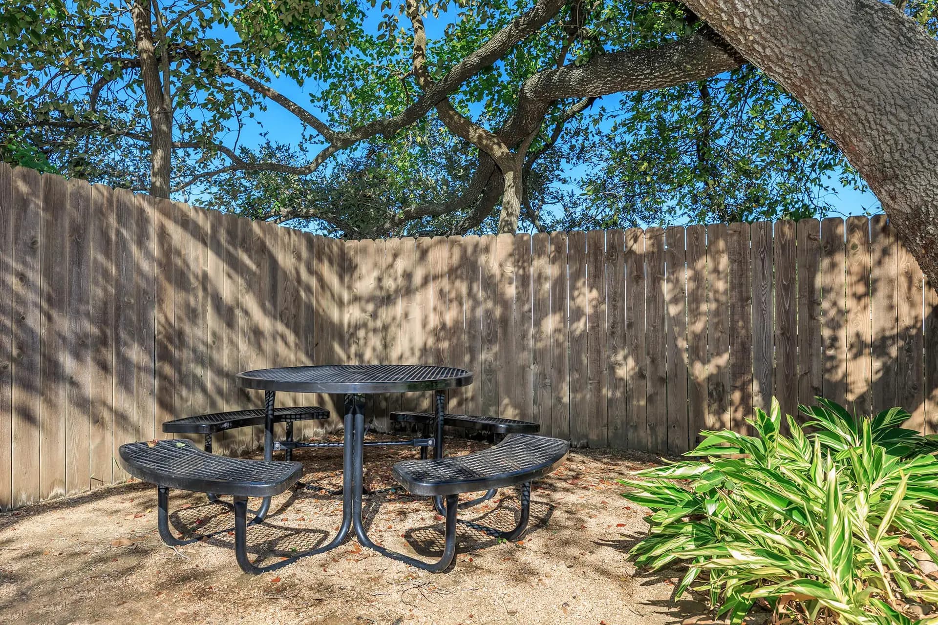 Oaks Of League City photo 3
