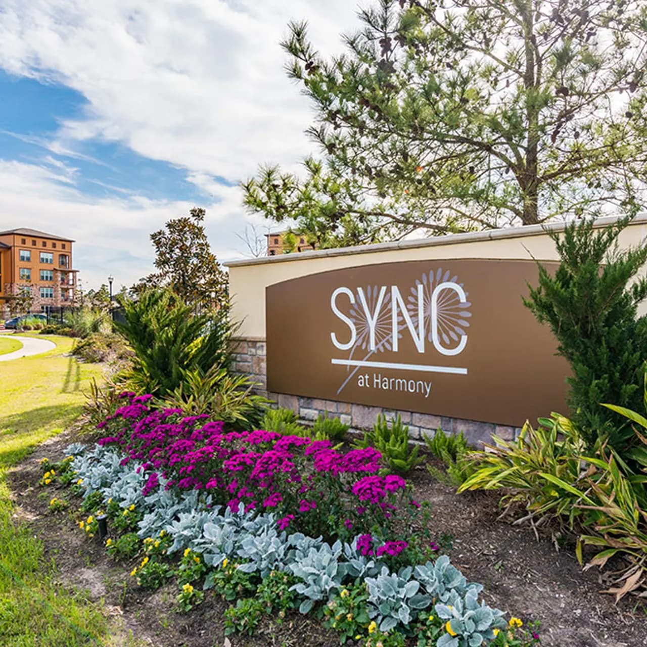 Sync At Harmony photo 3
