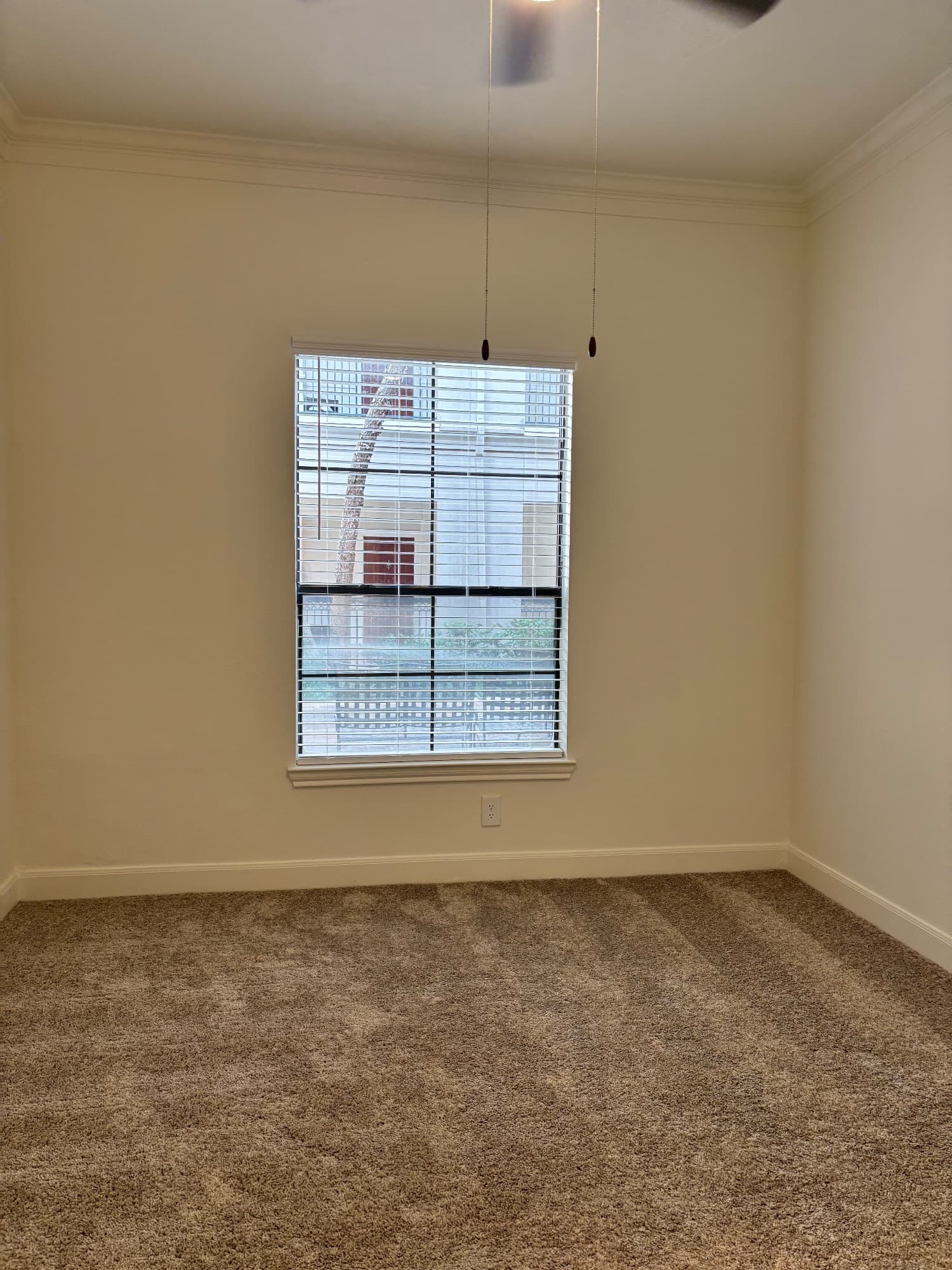 inside Jackson Hill
