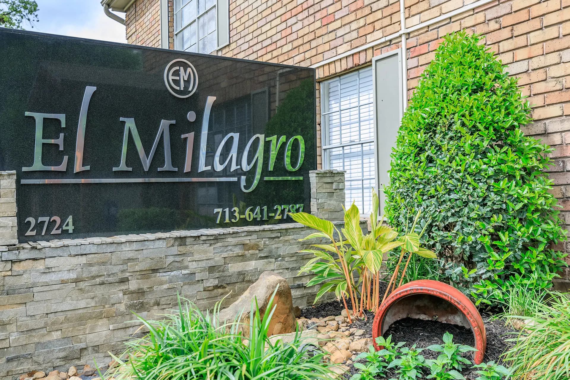 El Milagro photo 3